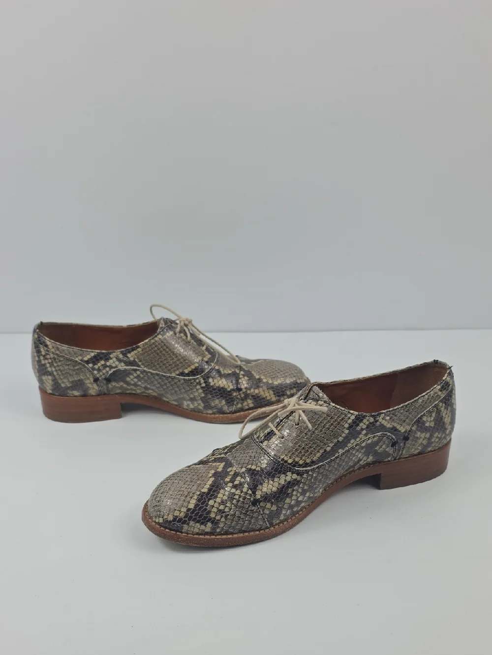 Two24 By Ariat Austen Snakeskin Women's Oxford Shoes‎ Size 8